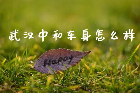 武汉中和车身怎么样_https://m.kuaijiepai.net_货币基金_第1张