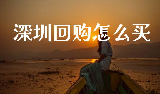深圳回购怎么买_https://m.kuaijiepai.net_资产证券化_第1张