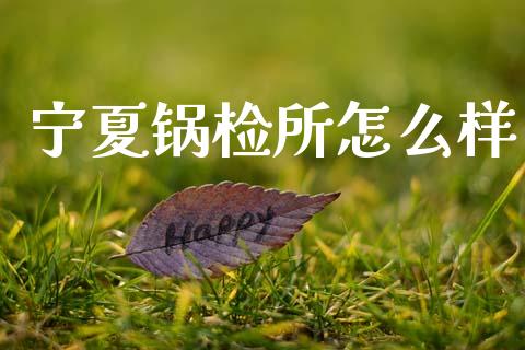 宁夏锅检所怎么样_https://m.kuaijiepai.net_股票交易_第1张