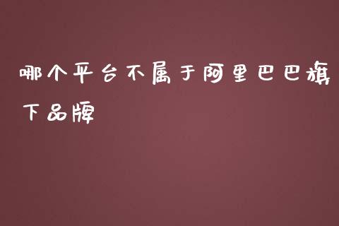 哪个平台不属于阿里巴巴旗下品牌_https://m.kuaijiepai.net_资产证券化_第1张