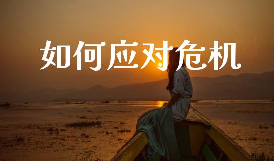如何应对危机_https://m.kuaijiepai.net_股票交易_第1张