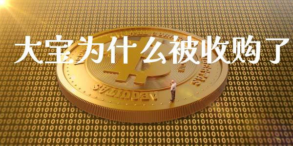 大宝为什么被收购了_https://m.kuaijiepai.net_货币基金_第1张