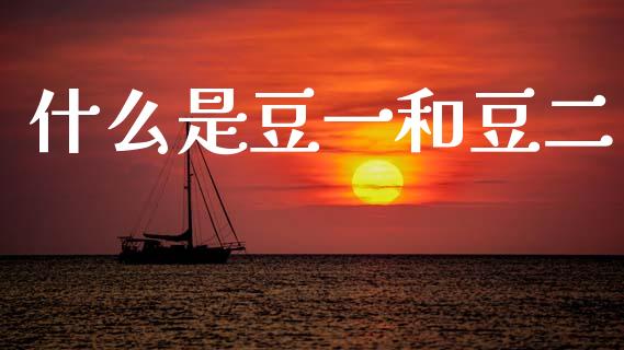 什么是豆一和豆二_https://m.kuaijiepai.net_债券投资_第1张