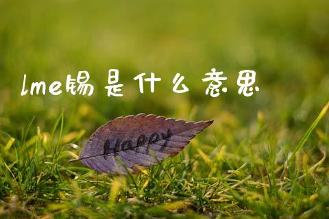 lme锡是什么意思_https://m.kuaijiepai.net_债券投资_第1张