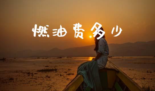 燃油费多少_https://m.kuaijiepai.net_资产证券化_第1张