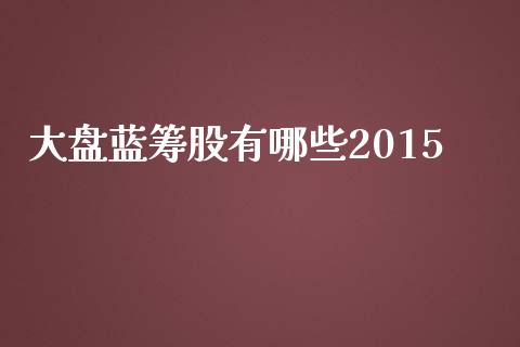 大盘蓝筹股有哪些2015_https://m.kuaijiepai.net_债券投资_第1张