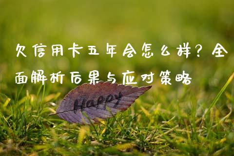 欠信用卡五年会怎么样？全面解析后果与应对策略_https://m.kuaijiepai.net_资产证券化_第1张
