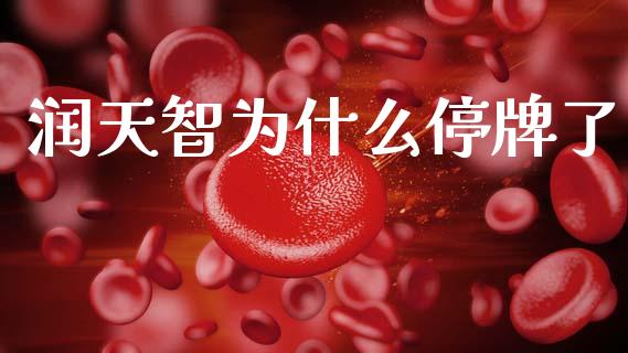 润天智为什么停牌了_https://m.kuaijiepai.net_货币基金_第1张