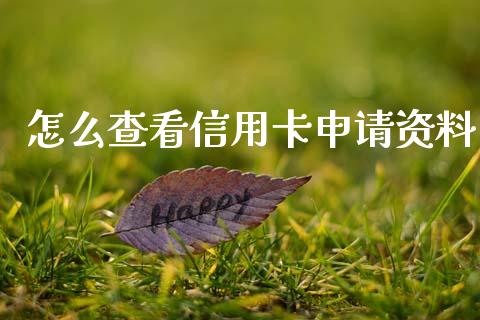 怎么查看信用卡申请资料_https://m.kuaijiepai.net_资产证券化_第1张