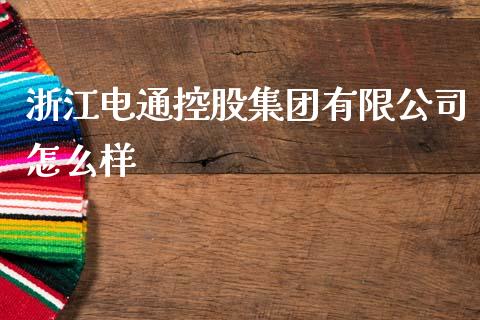 浙江电通控股集团有限公司怎么样_https://m.kuaijiepai.net_股票交易_第1张