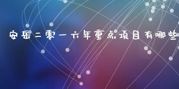 安岳二零一六年重点项目有哪些_https://m.kuaijiepai.net_货币基金_第1张