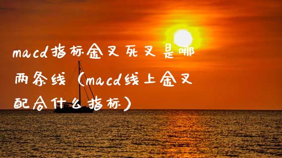 macd指标金叉死叉是哪两条线（macd线上金叉配合什么指标）_https://m.kuaijiepai.net_股票交易_第1张