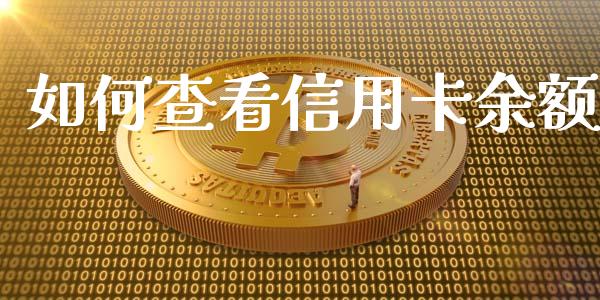 如何查看信用卡余额_https://m.kuaijiepai.net_股票交易_第1张