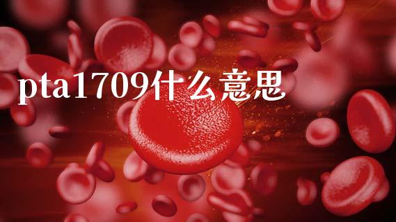 pta1709什么意思_债券投资_第1张_货币基金_债券投资_股票交易_资产证券化 pta1709什么意思_https://m.kuaijiepai.net_债券投资_第1张