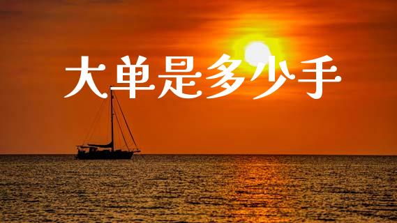 大单是多少手_https://m.kuaijiepai.net_债券投资_第1张