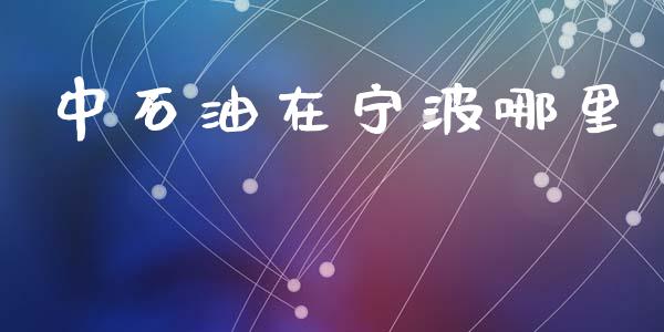 中石油在宁波哪里_https://m.kuaijiepai.net_股票交易_第1张