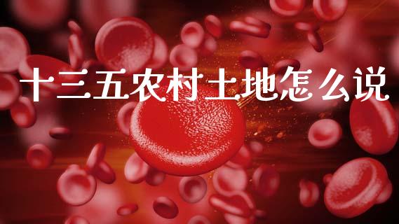 十三五农村土地怎么说_https://m.kuaijiepai.net_股票交易_第1张