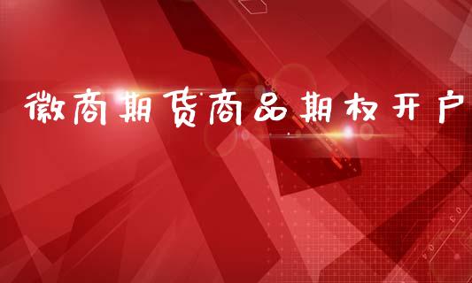 徽商期货商品期权开户_https://m.kuaijiepai.net_货币基金_第1张