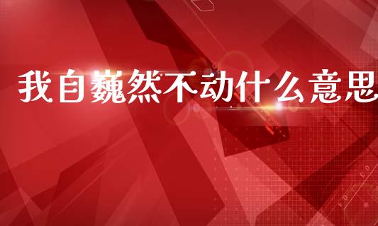 我自巍然不动什么意思_https://m.kuaijiepai.net_债券投资_第1张