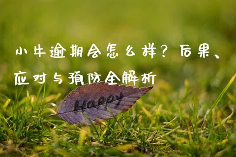 小牛逾期会怎么样？后果、应对与预防全解析_https://m.kuaijiepai.net_资产证券化_第1张
