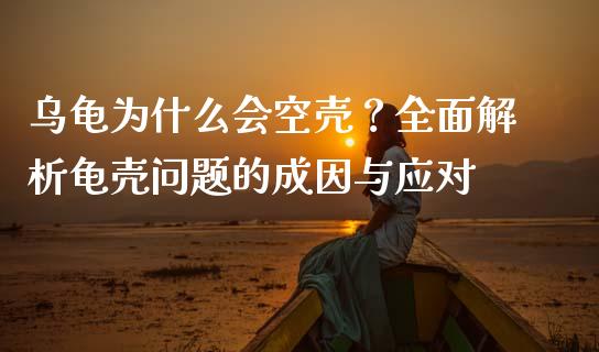 乌龟为什么会空壳?全面解析龟壳问题的成因与应对_股票交易_第1张_货币基金_债券投资_股票交易_资产证券化 乌龟为什么会空壳?全面解析龟壳问题的成因与应对_https://m.kuaijiepai.net_股票交易_第1张