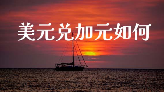 美元兑加元如何_https://m.kuaijiepai.net_股票交易_第1张