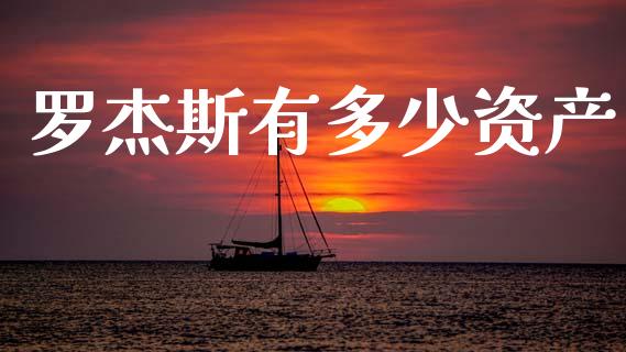 罗杰斯有多少资产_https://m.kuaijiepai.net_货币基金_第1张