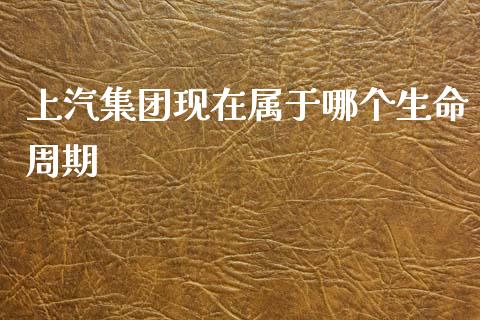 上汽集团现在属于哪个生命周期_https://m.kuaijiepai.net_货币基金_第1张