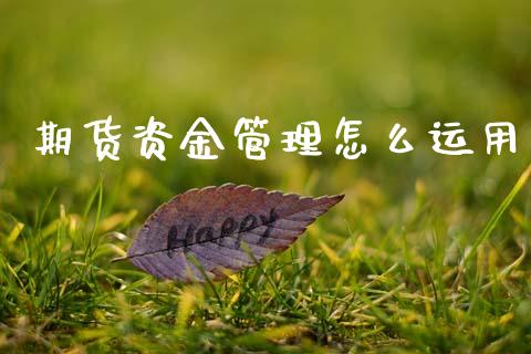 期货资金管理怎么运用_https://m.kuaijiepai.net_货币基金_第1张
