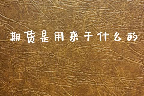 期货是用来干什么的_https://m.kuaijiepai.net_资产证券化_第1张