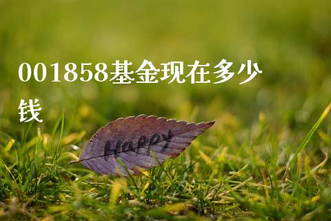 001858基金现在多少钱_https://m.kuaijiepai.net_资产证券化_第1张