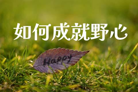 如何成就野心_https://m.kuaijiepai.net_资产证券化_第1张