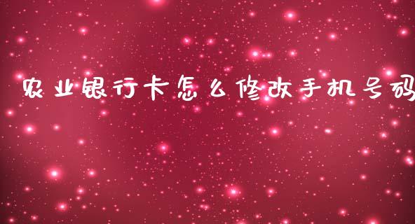 农业银行卡怎么修改手机号码_https://m.kuaijiepai.net_资产证券化_第1张