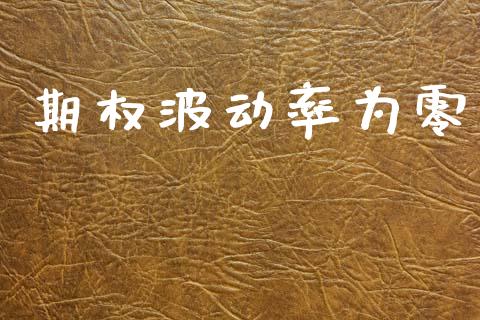 期权波动率为零_https://m.kuaijiepai.net_资产证券化_第1张