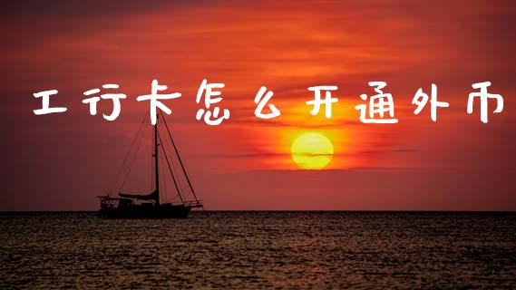 工行卡怎么开通外币_https://m.kuaijiepai.net_资产证券化_第1张