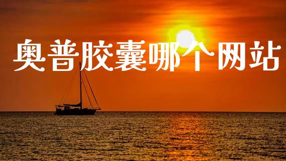 奥普胶囊哪个网站_https://m.kuaijiepai.net_货币基金_第1张