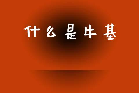 什么是牛基_https://m.kuaijiepai.net_货币基金_第1张