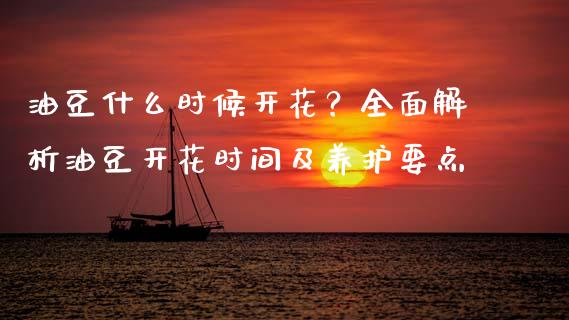 油豆什么时候开花？全面解析油豆开花时间及养护要点_https://m.kuaijiepai.net_股票交易_第1张
