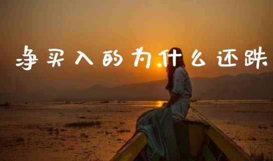 净买入的为什么还跌_https://m.kuaijiepai.net_资产证券化_第1张