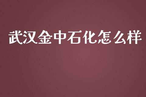 武汉金中石化怎么样_https://m.kuaijiepai.net_股票交易_第1张