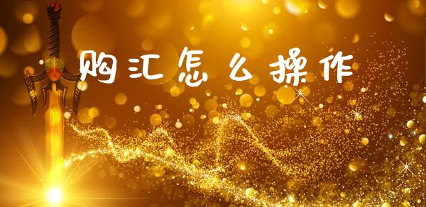 购汇怎么操作_https://m.kuaijiepai.net_货币基金_第1张