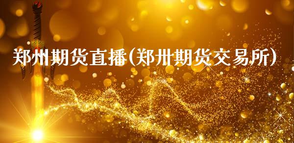 郑州期货直播(郑卅期货交易所)_股票交易_第1张_货币基金_债券投资_股票交易_资产证券化 郑州期货直播(郑卅期货交易所)_https://m.kuaijiepai.net_股票交易_第1张