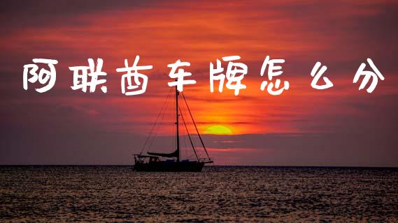 阿联酋车牌怎么分_https://m.kuaijiepai.net_货币基金_第1张