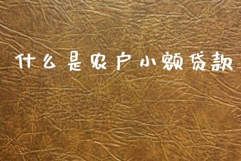 什么是农户小额贷款_https://m.kuaijiepai.net_债券投资_第1张