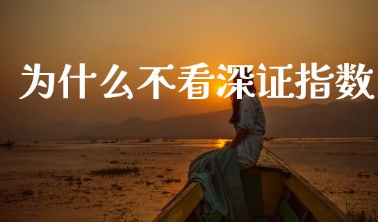 为什么不看深证指数_https://m.kuaijiepai.net_债券投资_第1张