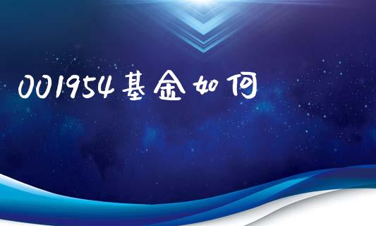001954基金如何_https://m.kuaijiepai.net_货币基金_第1张