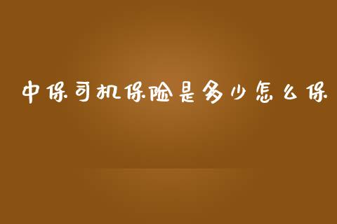 中保司机保险是多少怎么保_https://m.kuaijiepai.net_股票交易_第1张