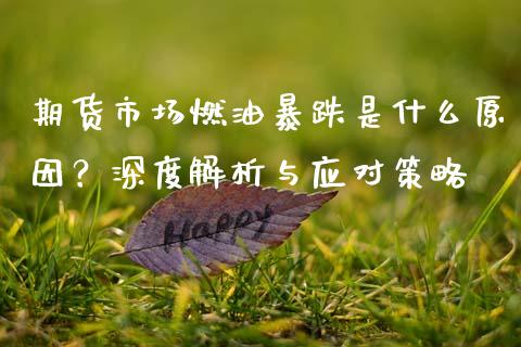 期货市场燃油暴跌是什么原因？深度解析与应对策略_https://m.kuaijiepai.net_资产证券化_第1张