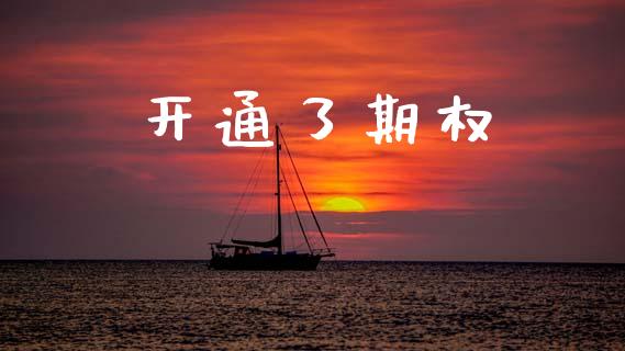 开通了期权_https://m.kuaijiepai.net_债券投资_第1张