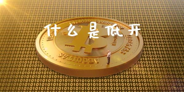 什么是低开_https://m.kuaijiepai.net_货币基金_第1张